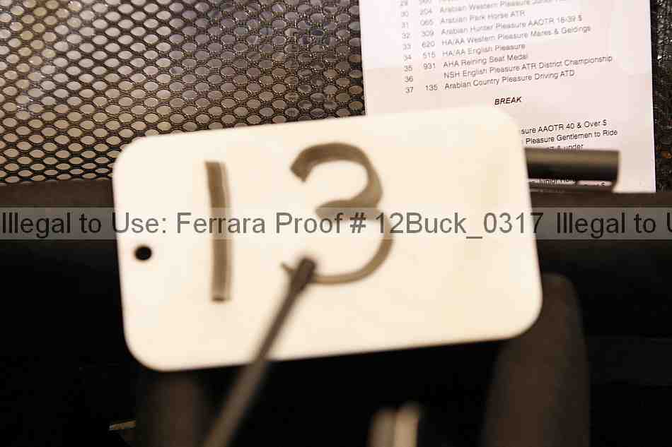 Proof 12buck_0317