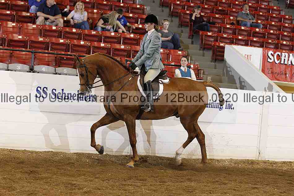 Proof 12buck_0320