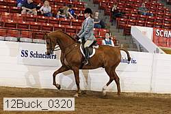 12buck_0320 proof
