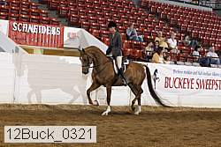 12buck_0321 proof