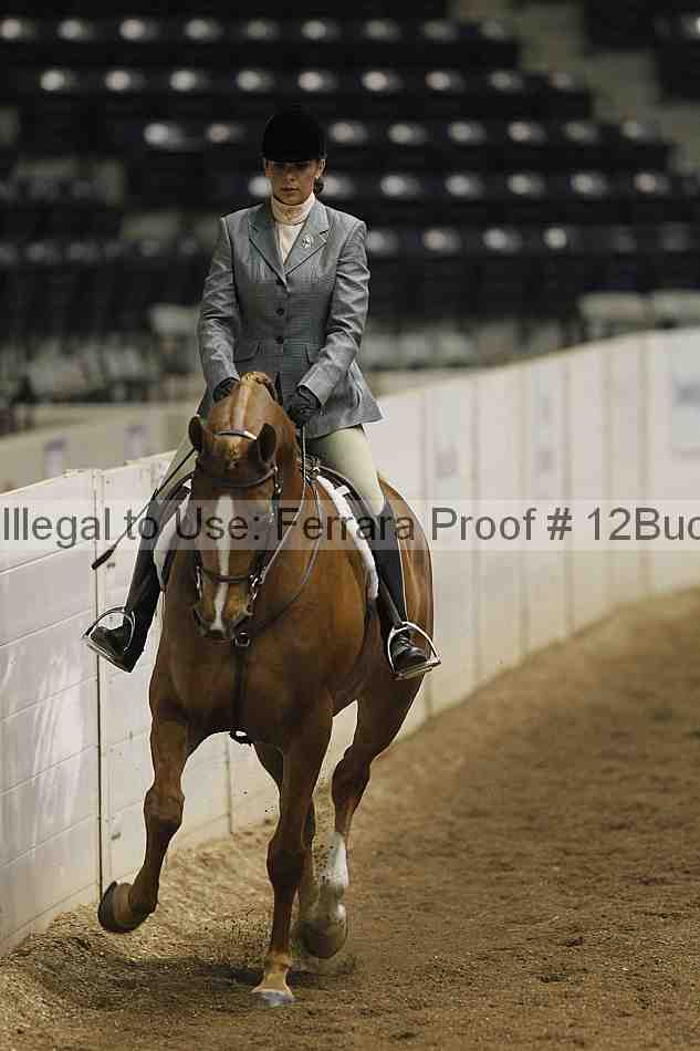 Proof 12buck_0324