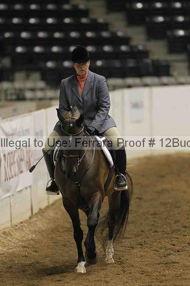 Proof 12buck_0325