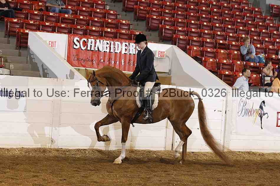 Proof 12buck_0326
