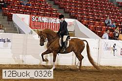 12buck_0326 proof
