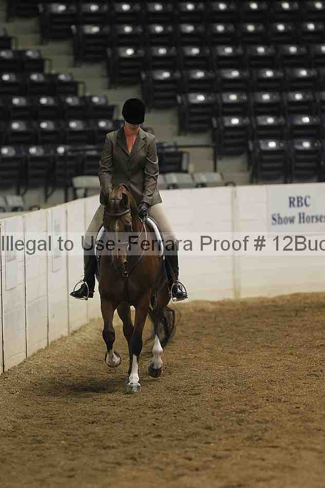 Proof 12buck_0327