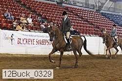 12buck_0329 proof