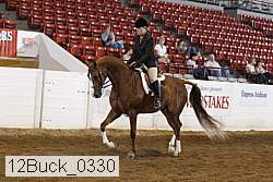 12buck_0330 proof