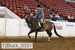 12buck_0331 proof