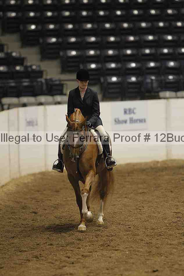 Proof 12buck_0332