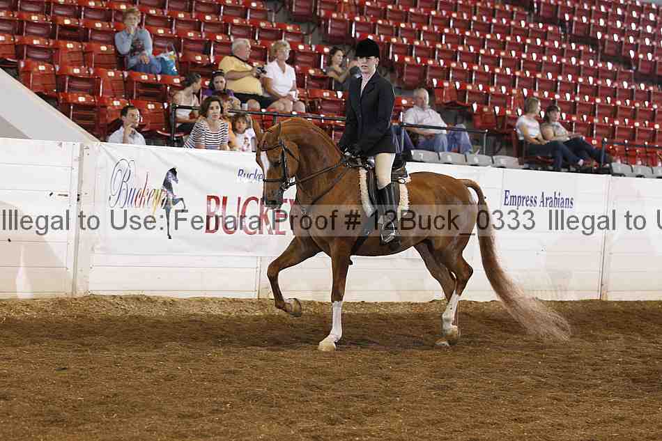 Proof 12buck_0333