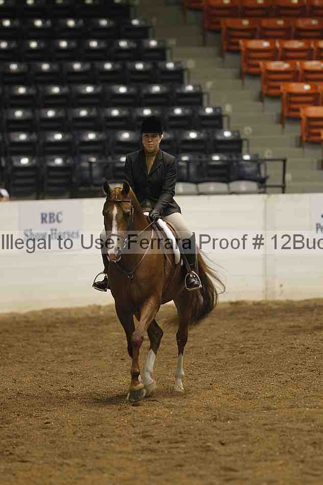Proof 12buck_0334