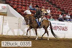 12buck_0335 proof