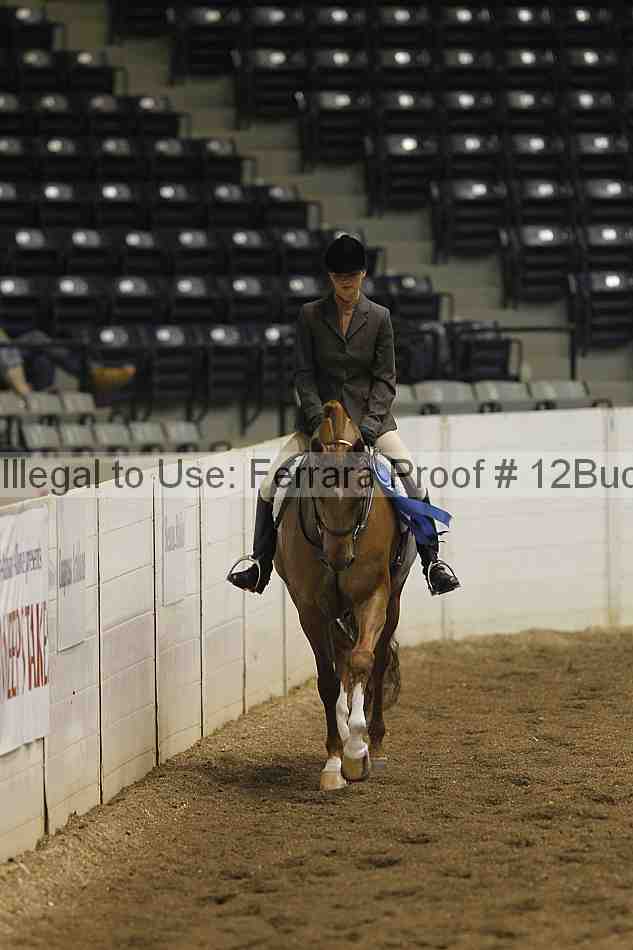 Proof 12buck_0337