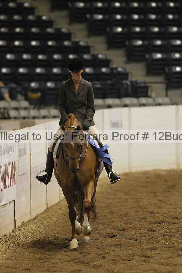 Proof 12buck_0338