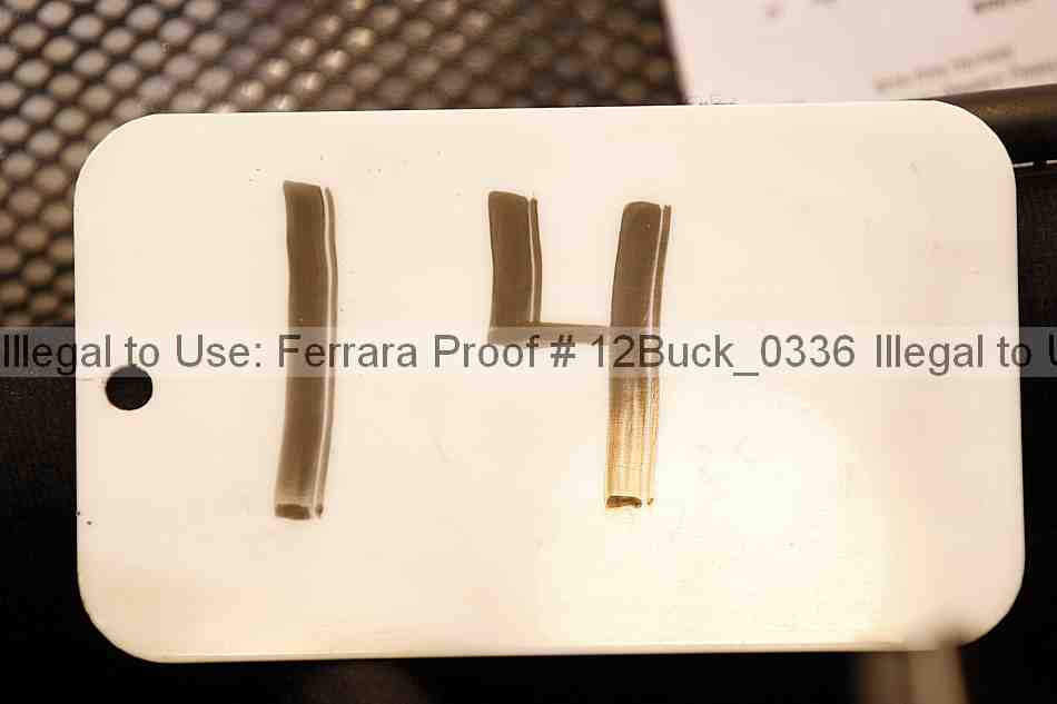 Proof 12buck_0336