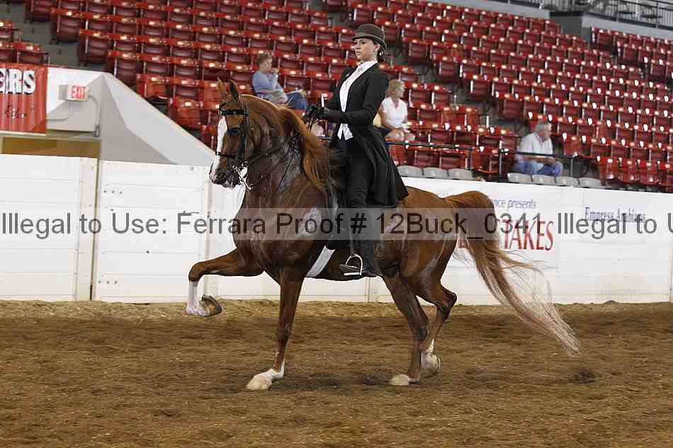 Proof 12buck_0341