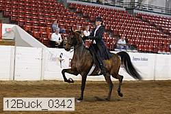 12buck_0342 proof