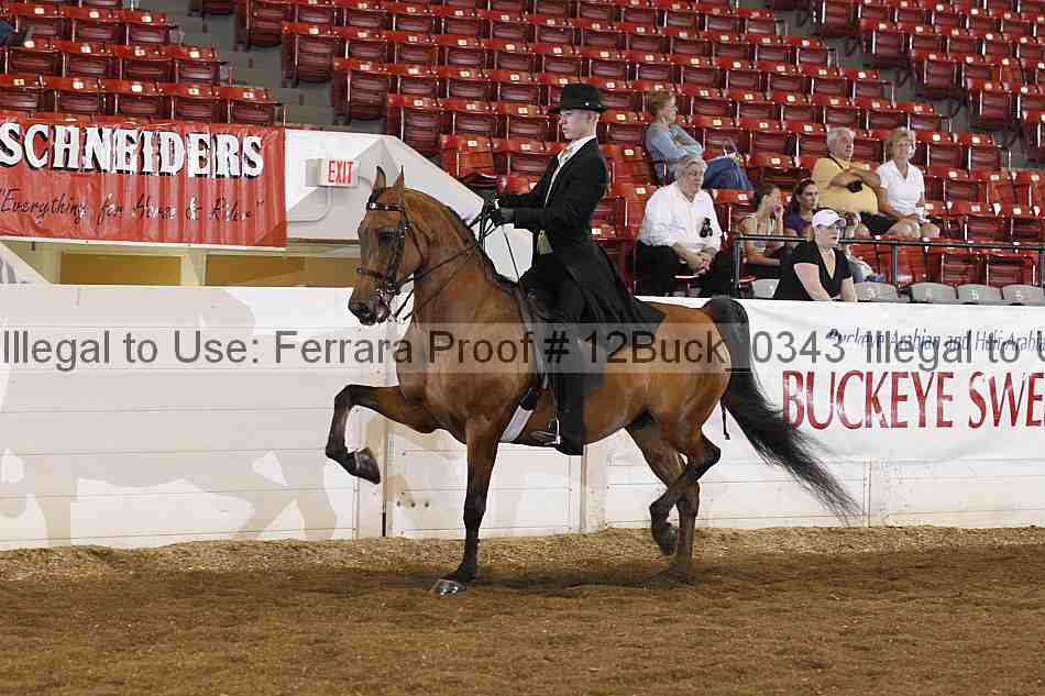 Proof 12buck_0343