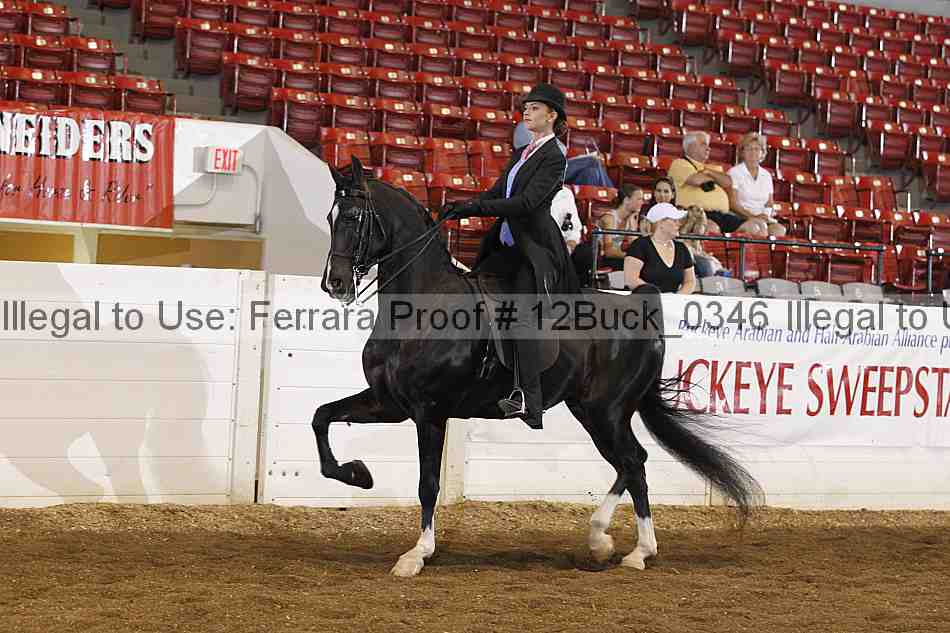 Proof 12buck_0346