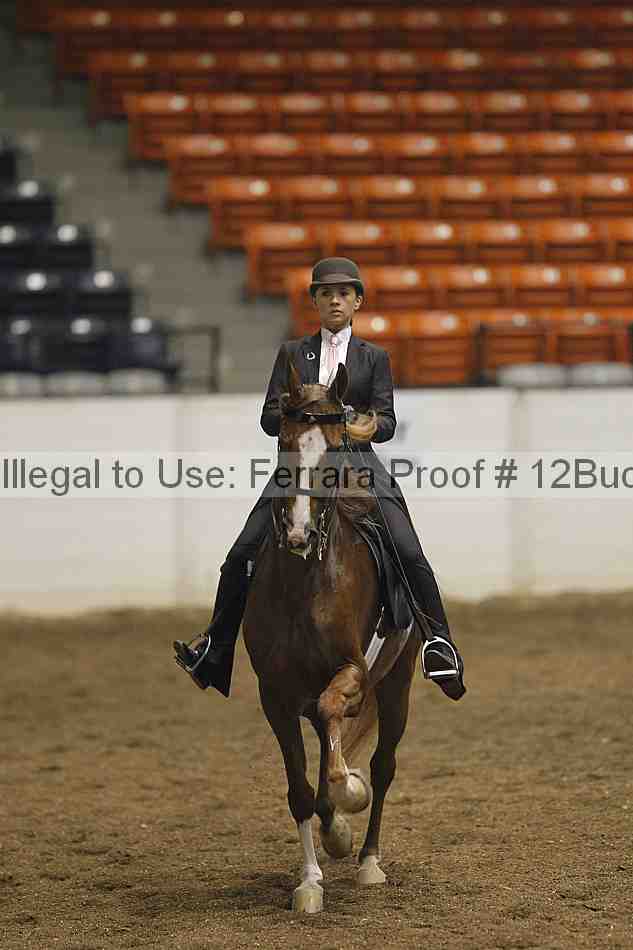 Proof 12buck_0347