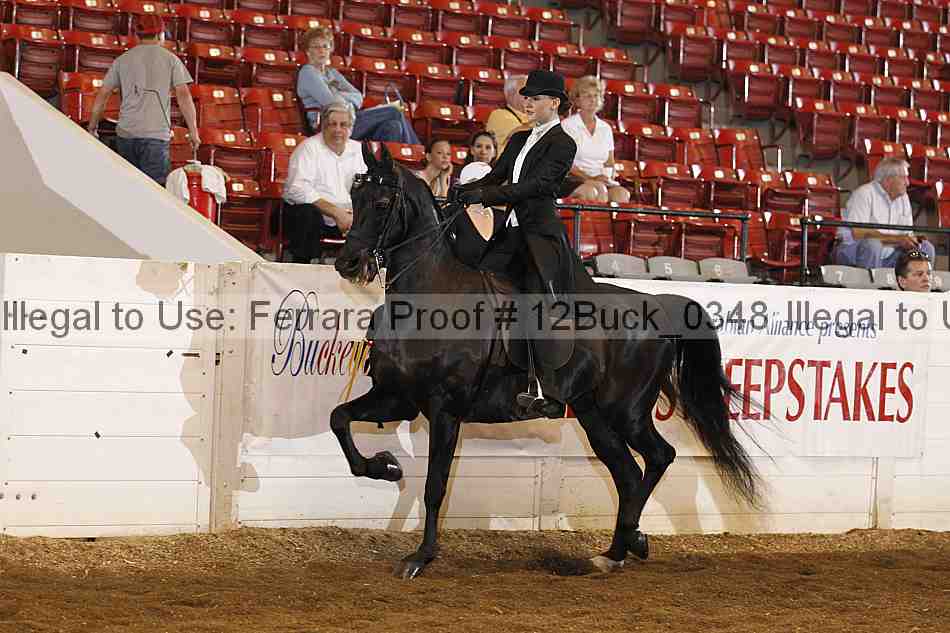 Proof 12buck_0348