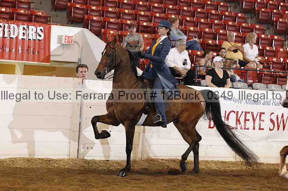 Proof 12buck_0349