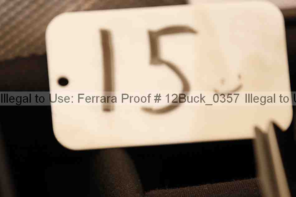 Proof 12buck_0357