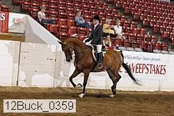 12buck_0359 proof