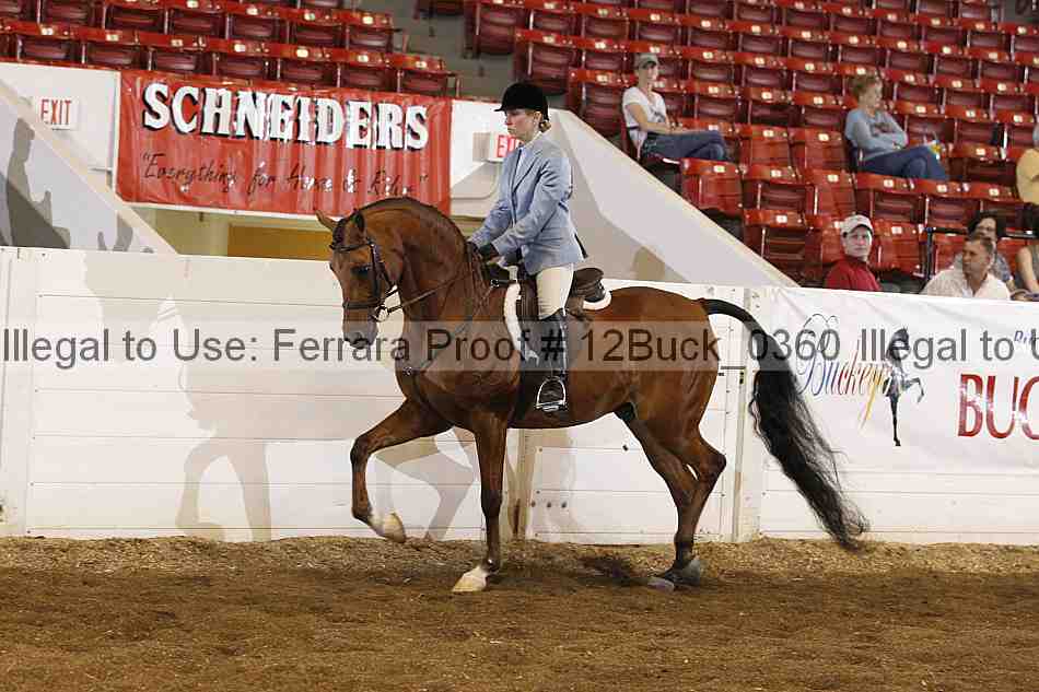 Proof 12buck_0360