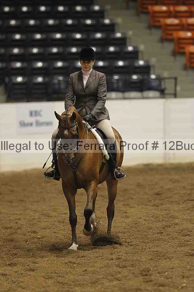 Proof 12buck_0365