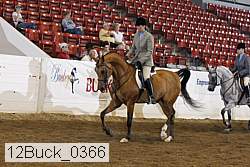 12buck_0366 proof