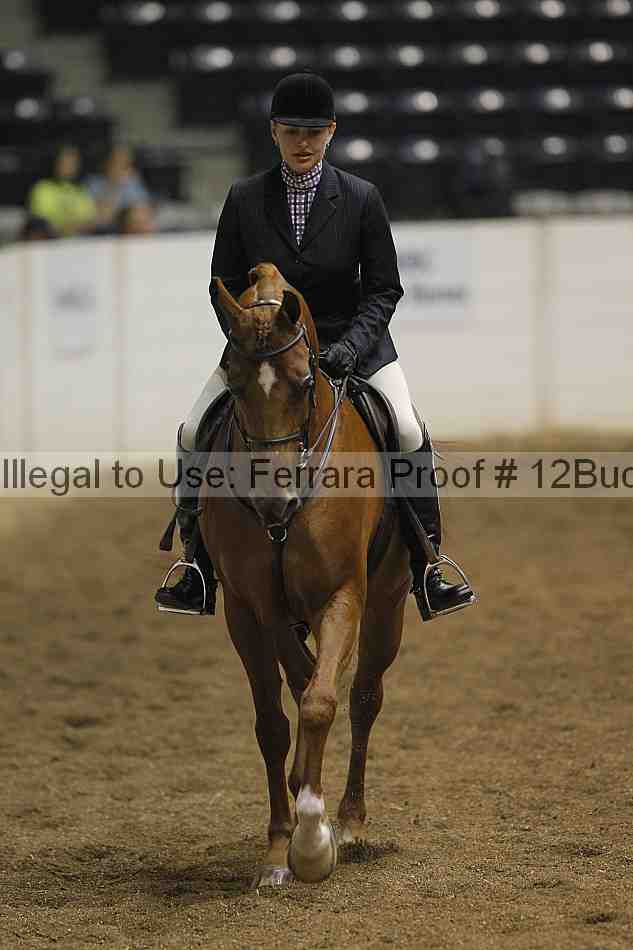 Proof 12buck_0368