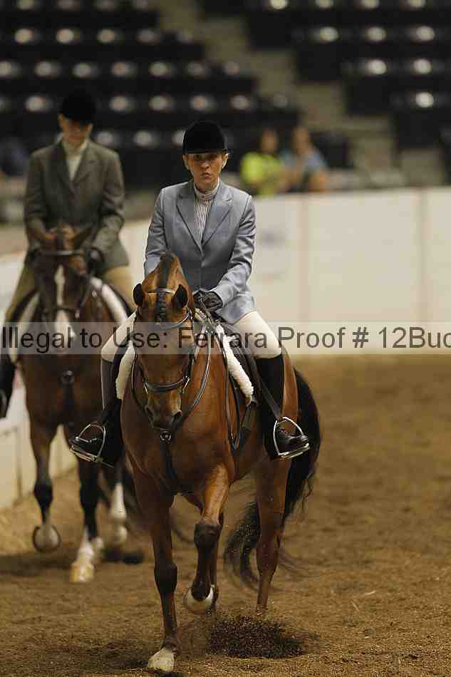 Proof 12buck_0372