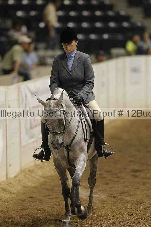 Proof 12buck_0374