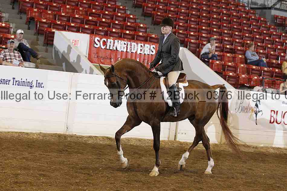 Proof 12buck_0376