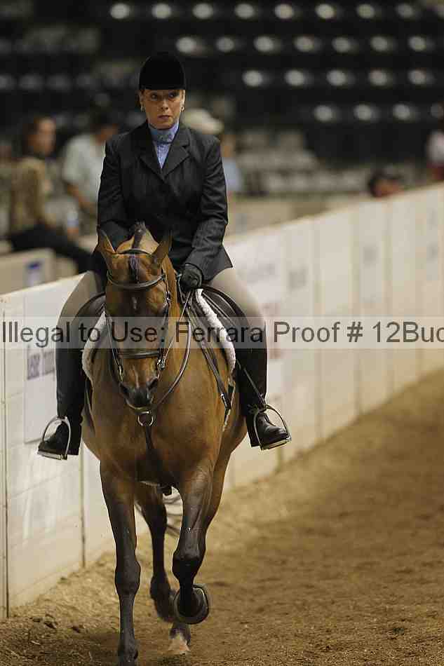 Proof 12buck_0377