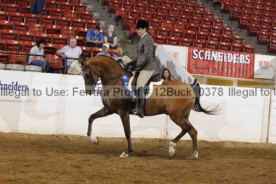 Proof 12buck_0378