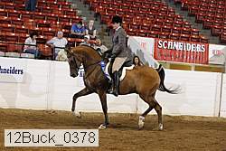 12buck_0378 proof
