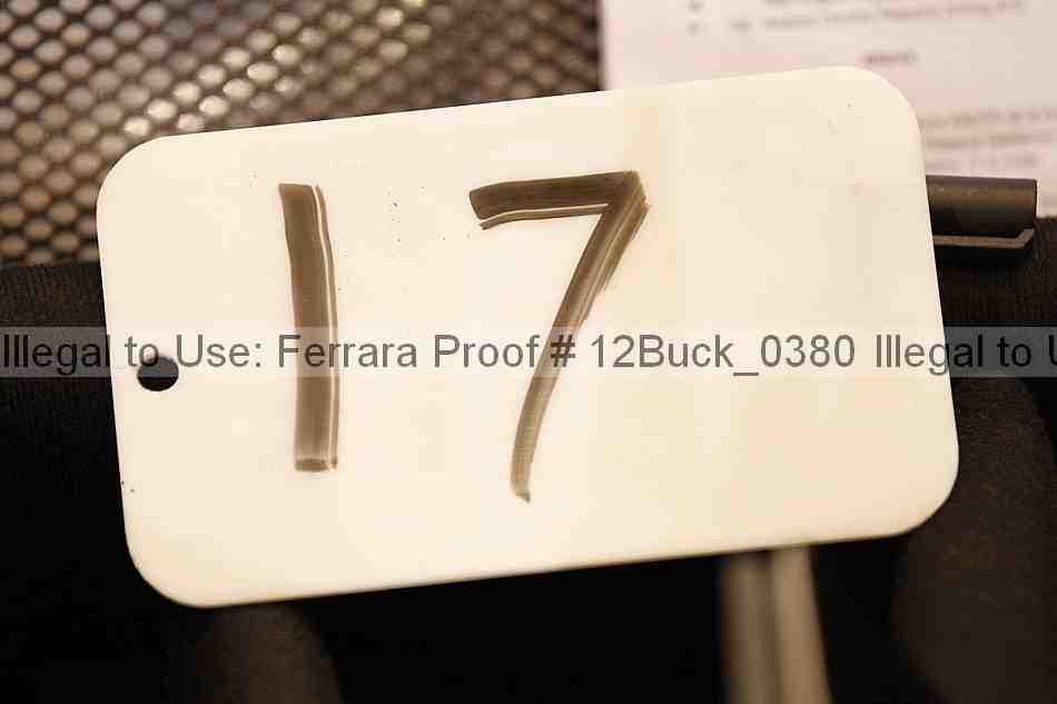 Proof 12buck_0380