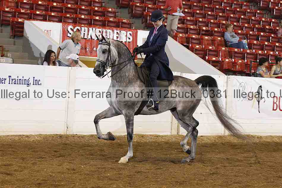 Proof 12buck_0381