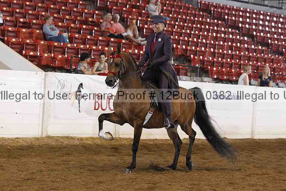 Proof 12buck_0382