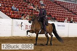 12buck_0382 proof