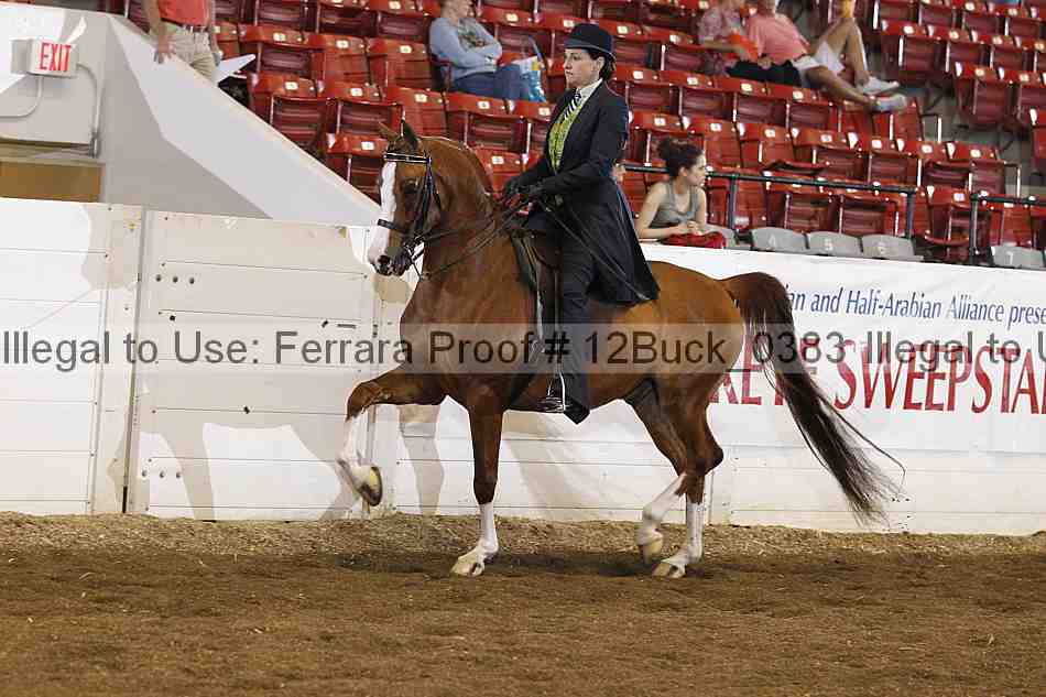 Proof 12buck_0383