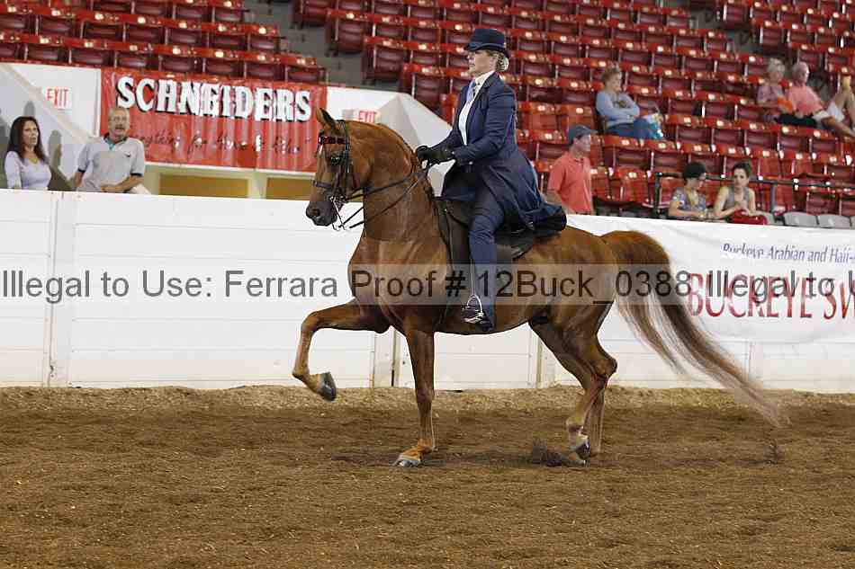 Proof 12buck_0388
