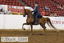 12buck_0388 proof