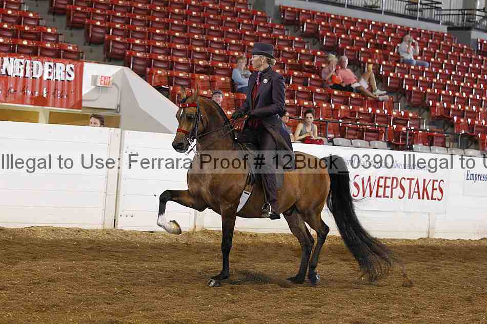 Proof 12buck_0390