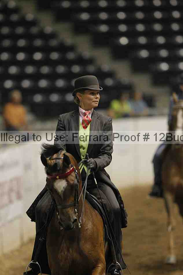 Proof 12buck_0391