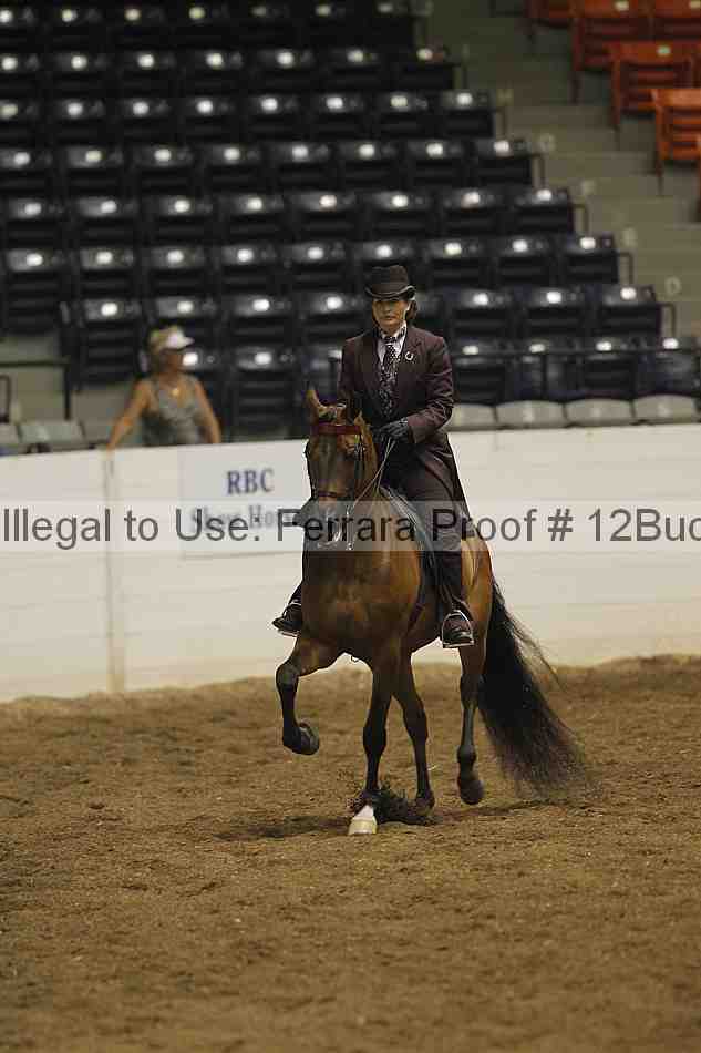 Proof 12buck_0392