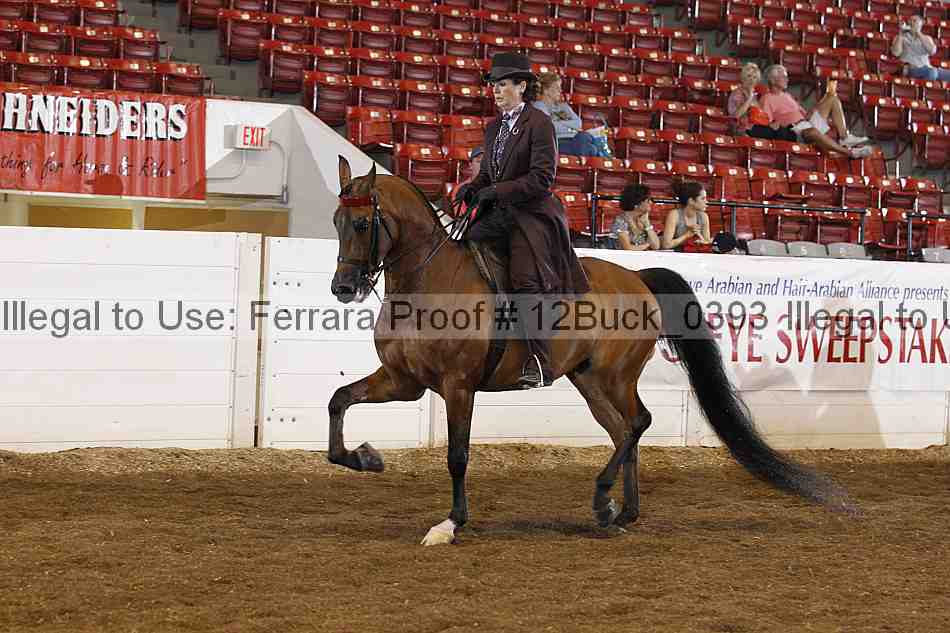 Proof 12buck_0393
