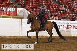 12buck_0393 proof